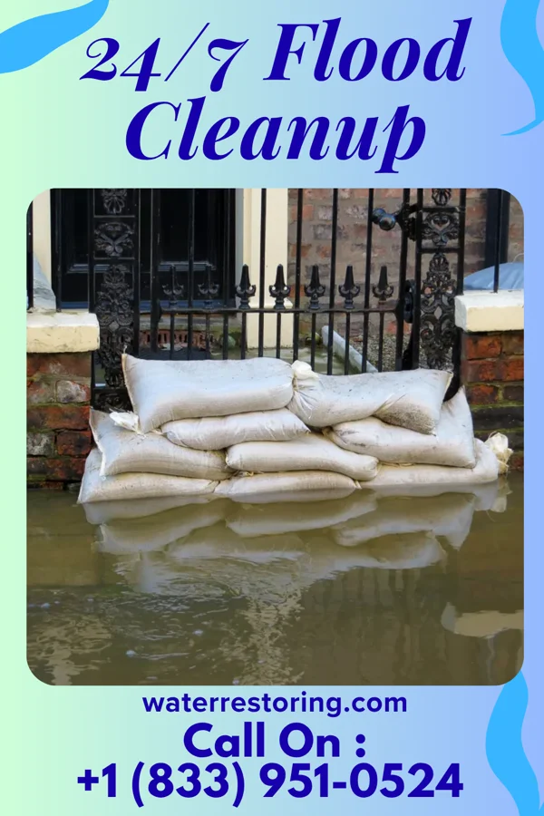 24/7 Flood Cleanup in Cecilton, MD