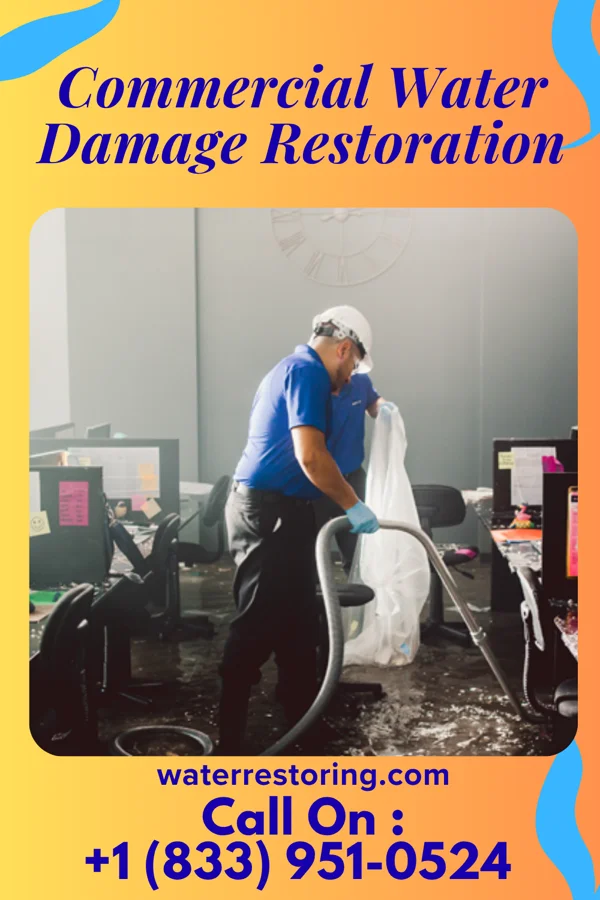 Commercial Water Damage Restoration in Cecilton, MD