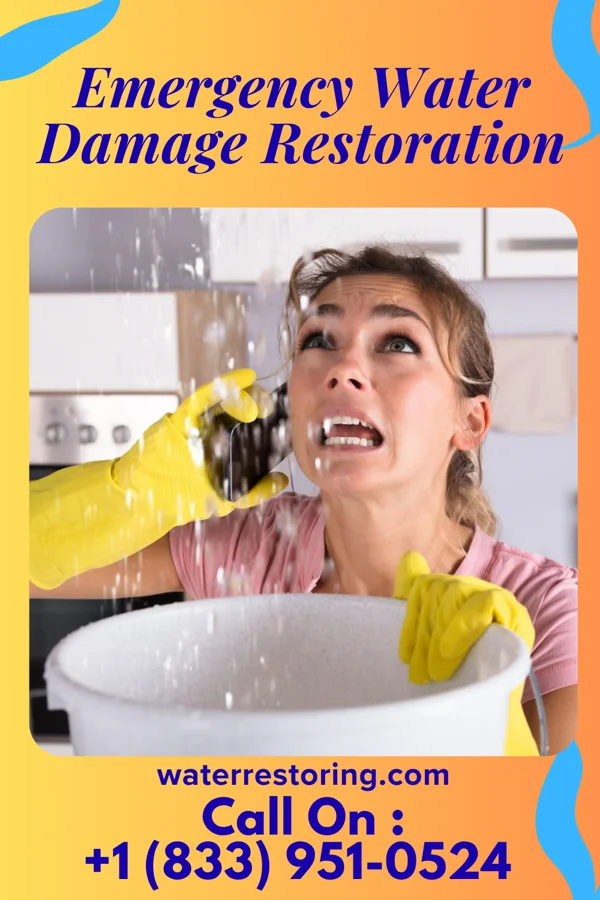 Emergency Water Damage Restoration in Cecilton, MD
