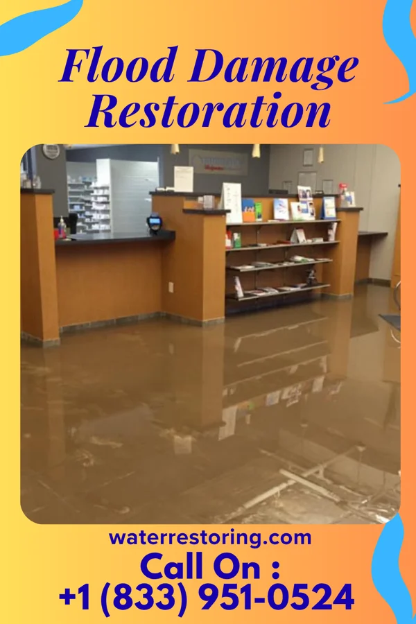 Flood Damage Restoration in Cecilton, MD
