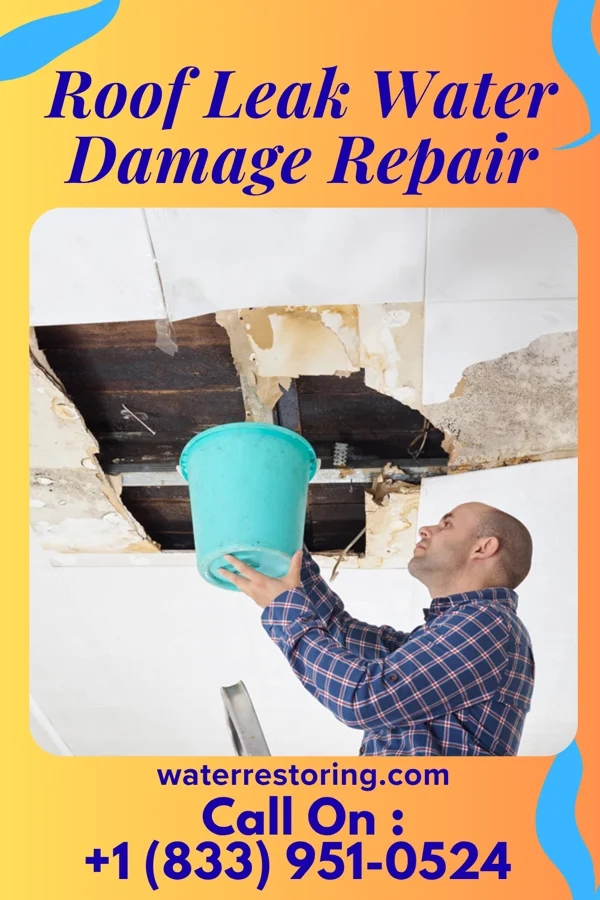 Roof Leak Water Damage Repair in Cecilton, MD