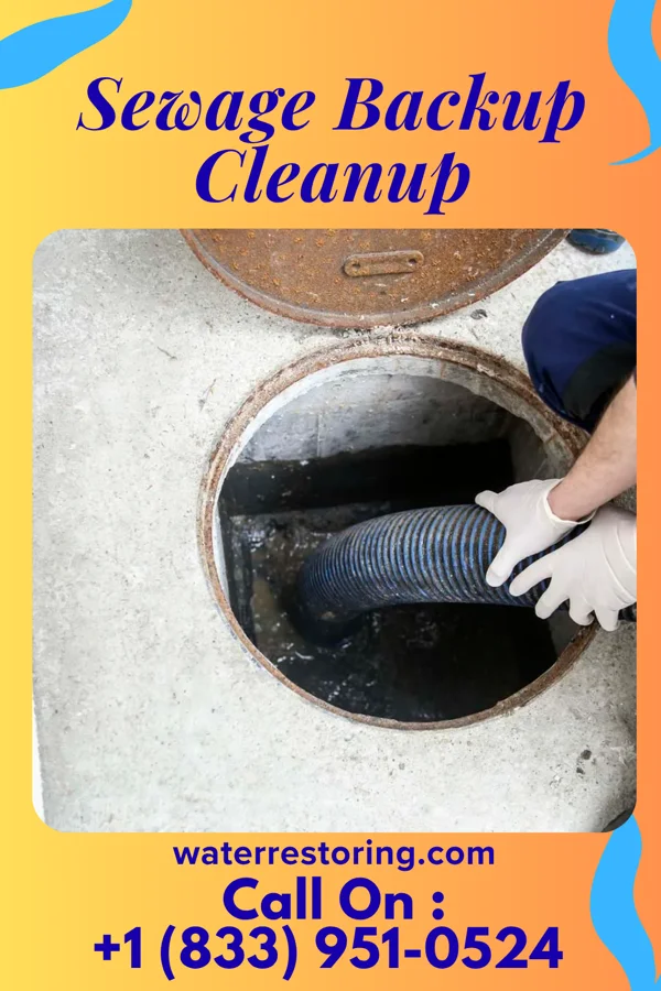 Sewage Backup Cleanup in Cecilton, MD