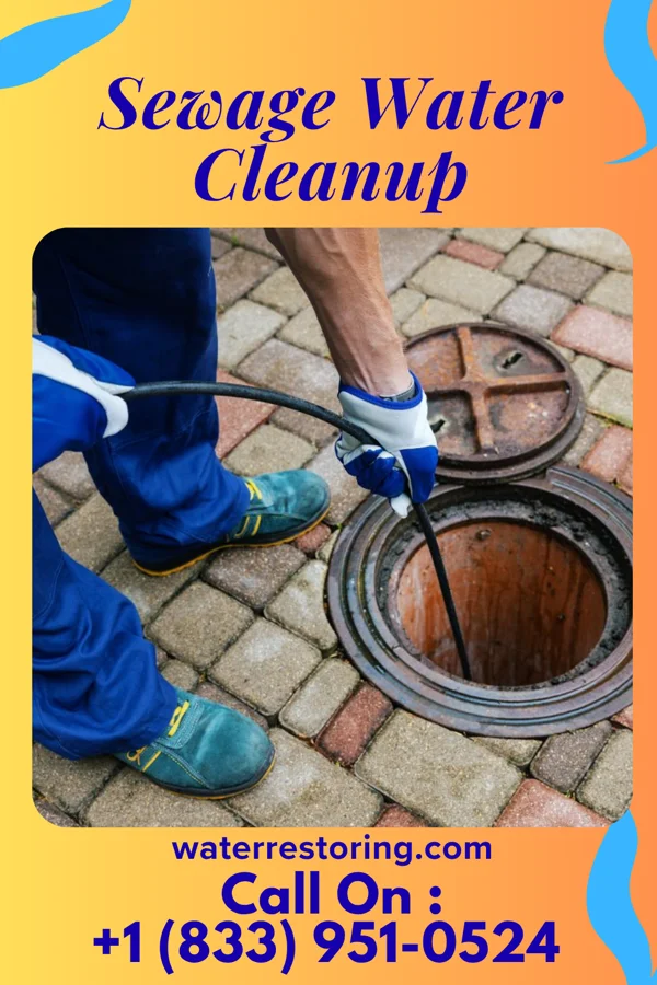 Sewage Water Cleanup in Cecilton, MD