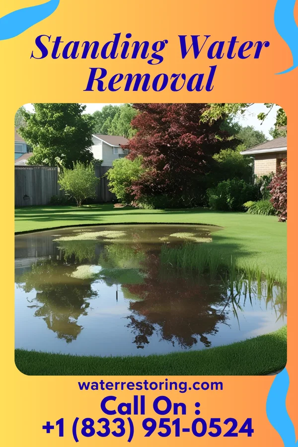 Standing Water Removal in Cecilton, MD